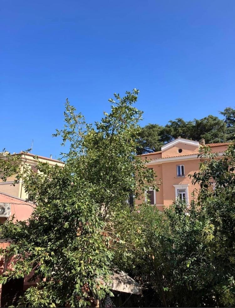 Casa Di Vivi, Comoda Per Il Centro, Il Vaticano Ed Il Gemelli Roma Dış mekan fotoğraf